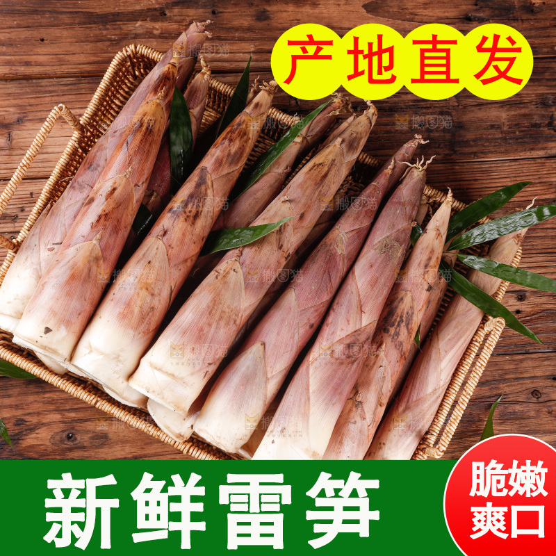 深底上的雷笋