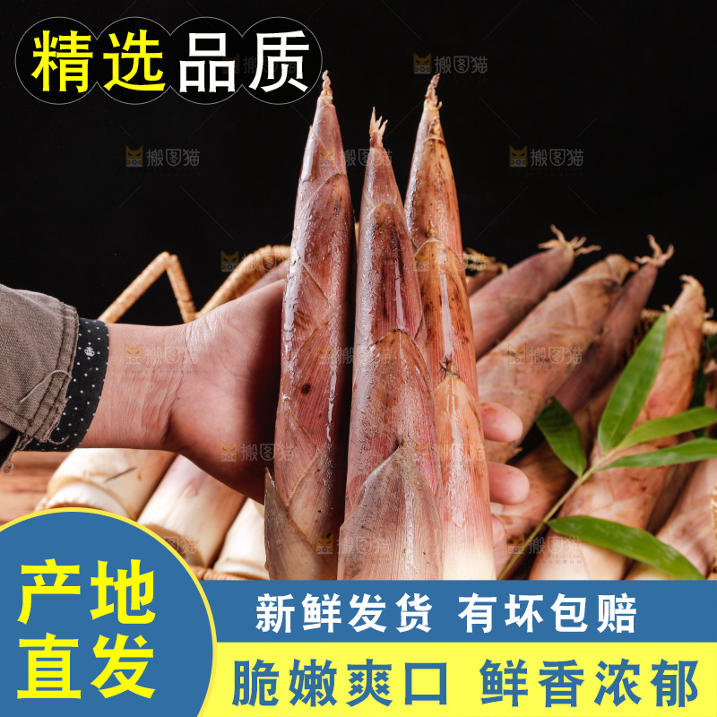 深底上的雷笋
