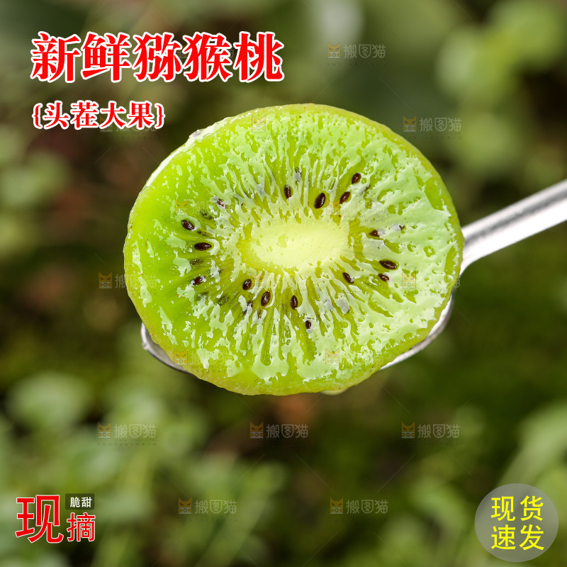 深底上的猕猴桃