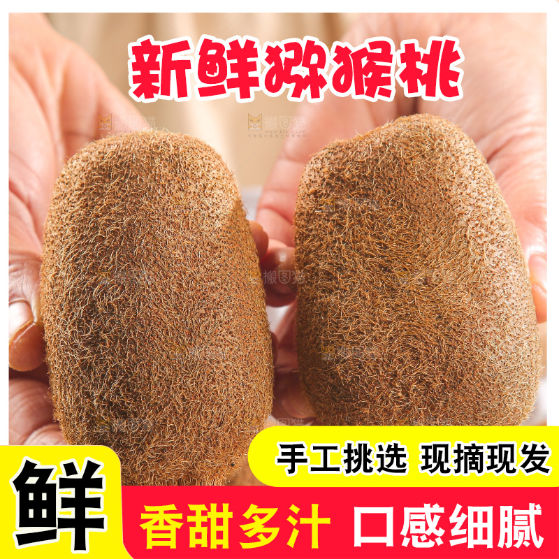 浅底上的猕猴桃