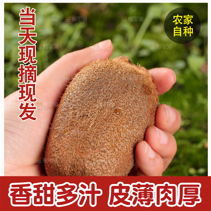 深底上的猕猴桃