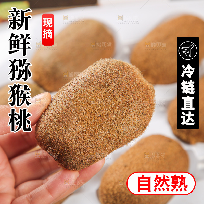 浅底上的猕猴桃