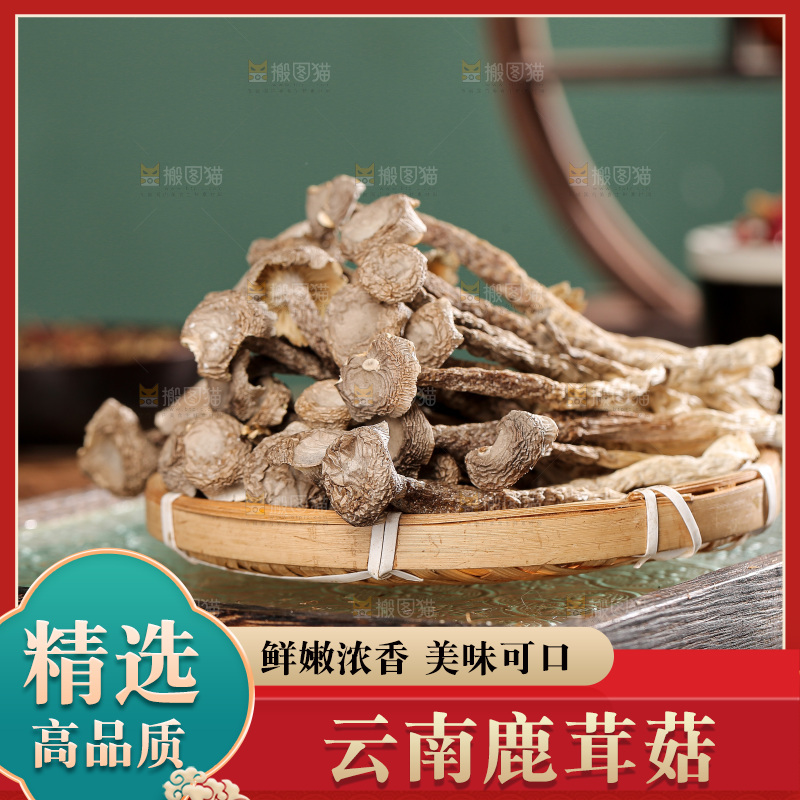 深底上的鹿茸菌