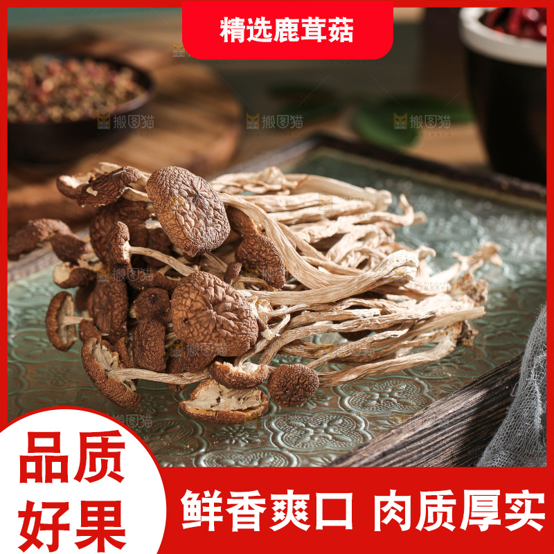 深底上的鹿茸菌