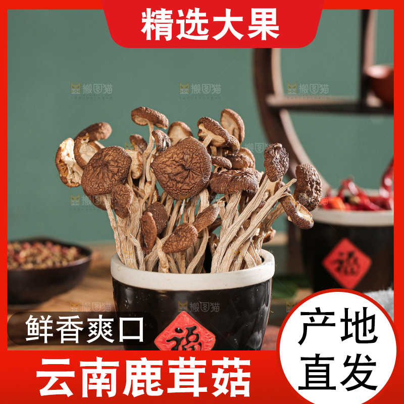 深底上的鹿茸菌