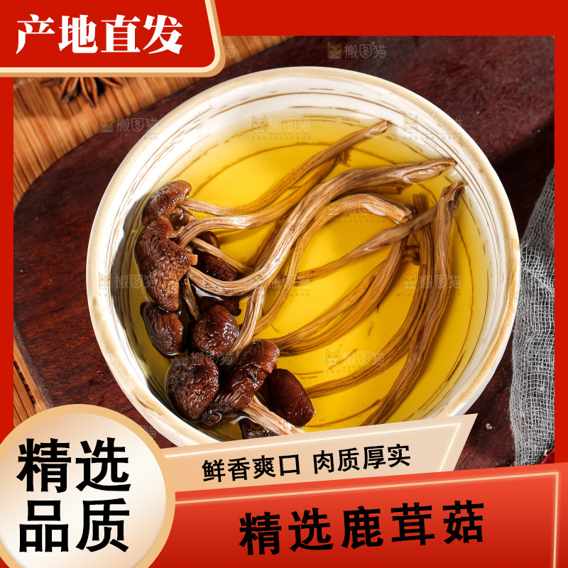 深底上的鹿茸菌
