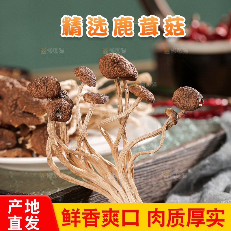 深底上的鹿茸菌