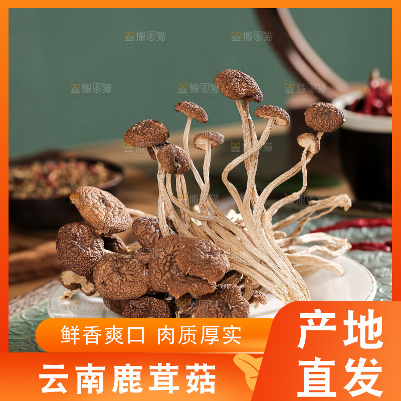 深底上的鹿茸菌