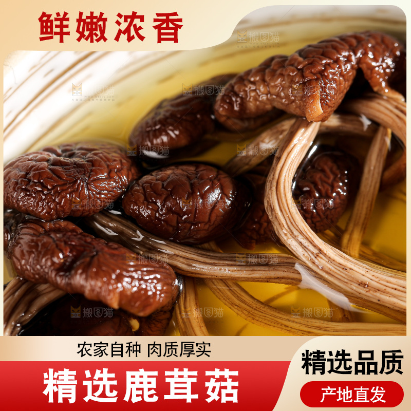 深底上的鹿茸菌