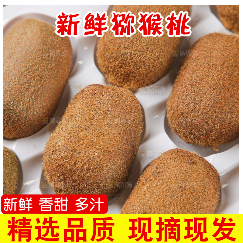 浅底上的猕猴桃