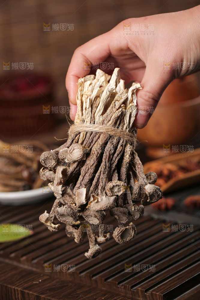深底上的鹿茸菇