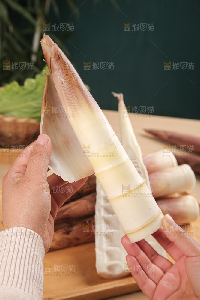深底的雷竹笋
