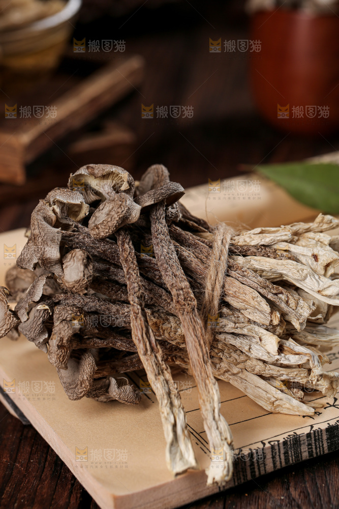 深底上的鹿茸菇