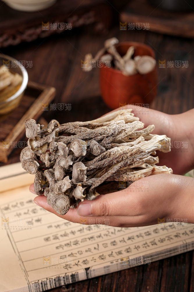 深底上的鹿茸菇