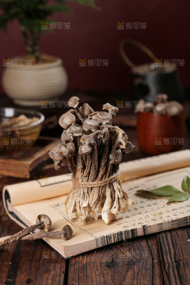 深底上的鹿茸菇