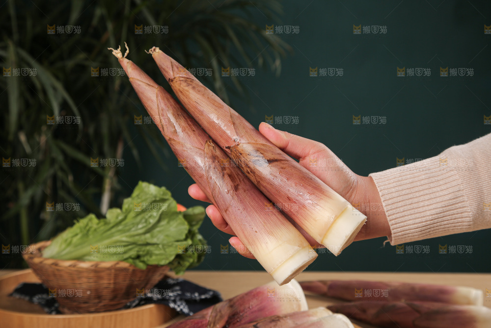 深底的雷竹笋