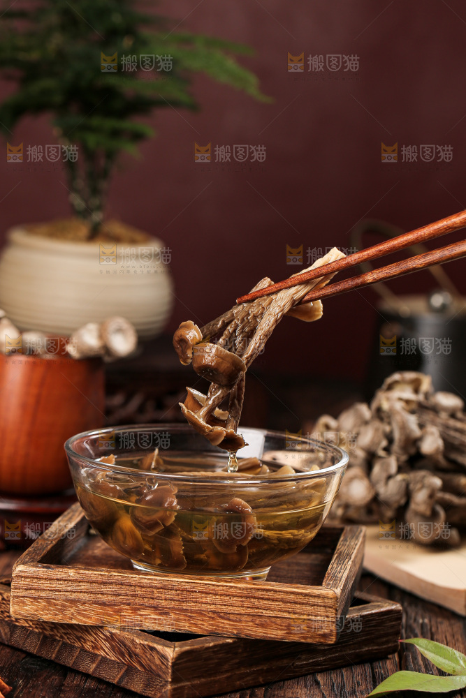 深底上的鹿茸菇