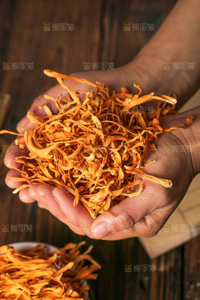 深底上的虫草花