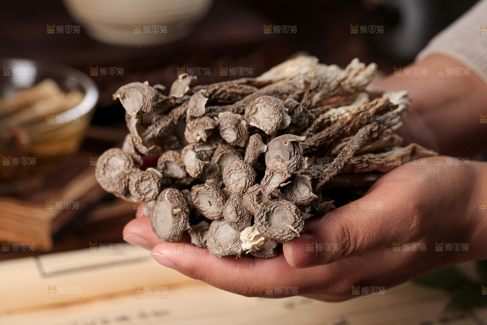 深底上的鹿茸菇