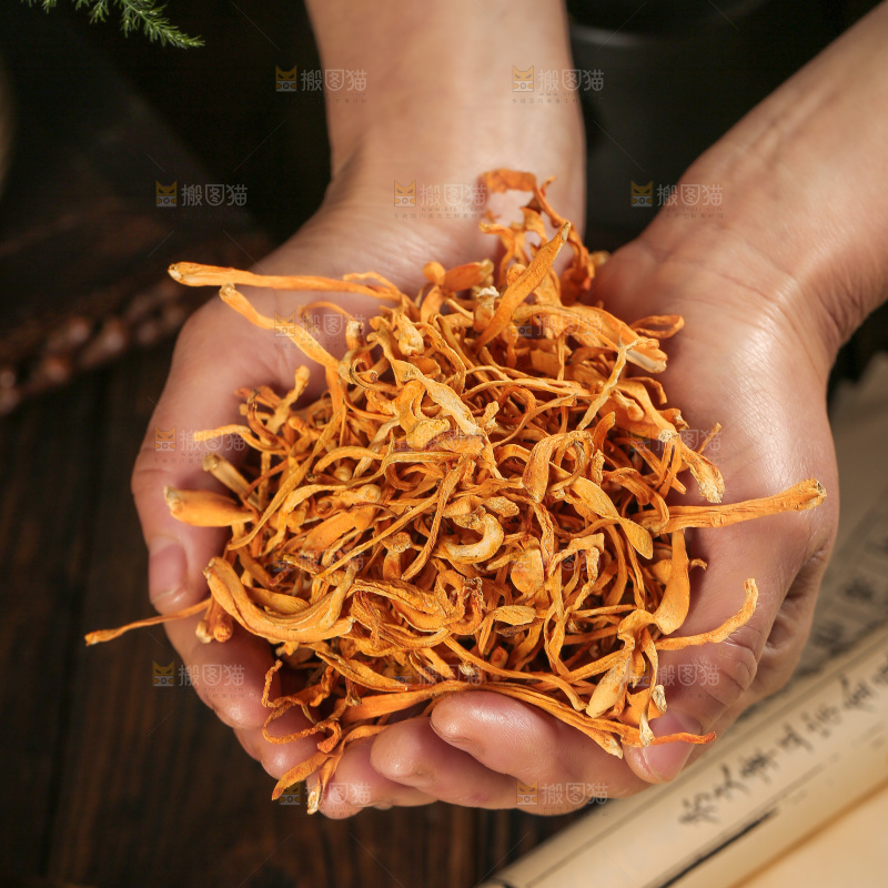 深底上的虫草花
