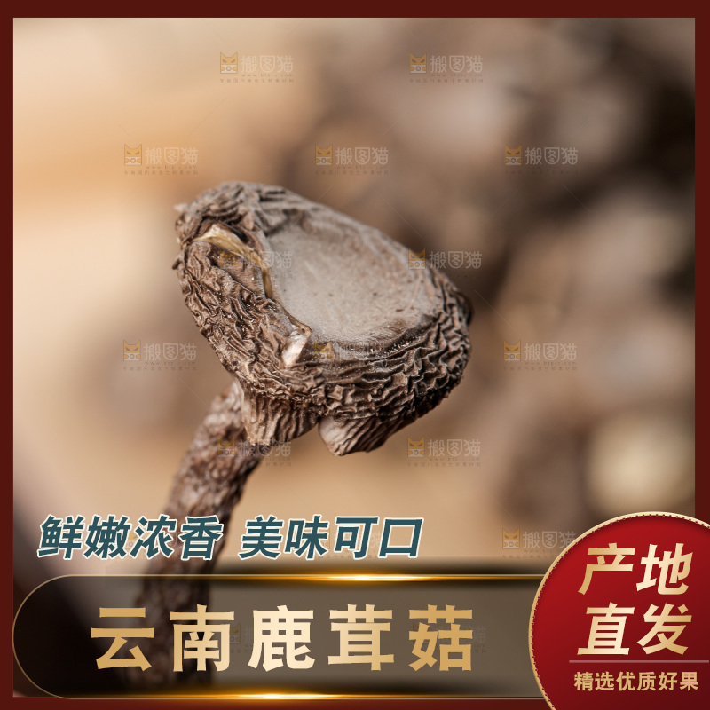 深底上的鹿茸菇