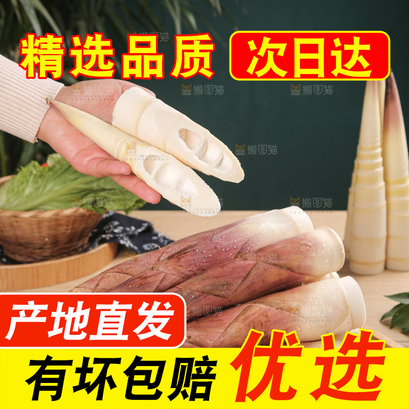 深底的雷竹笋