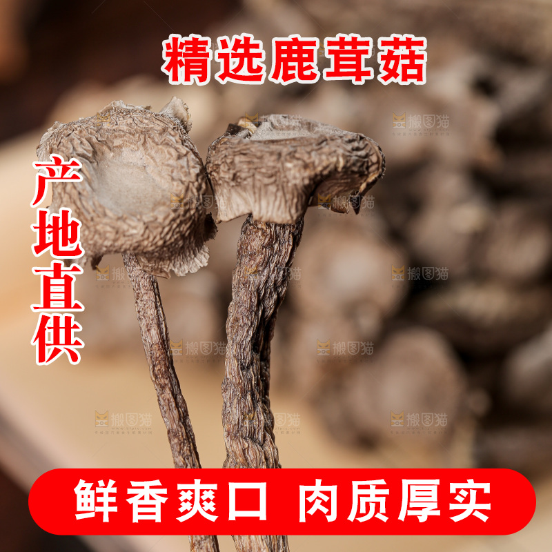 深底上的鹿茸菇