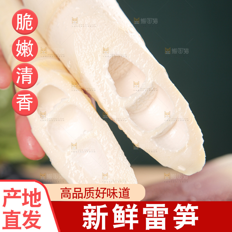 深底的雷竹笋