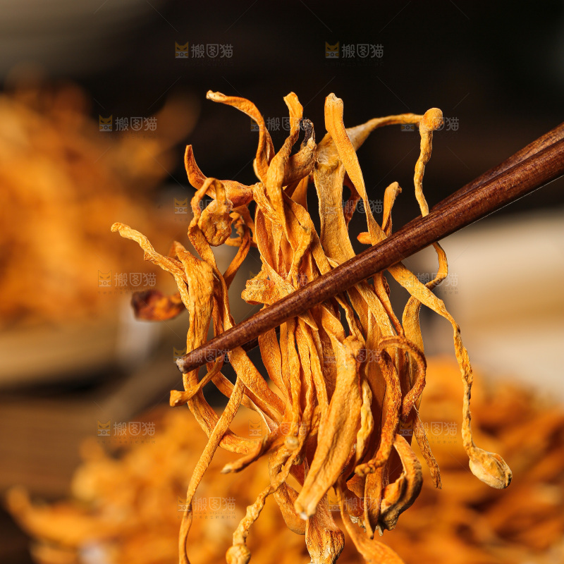深底上的虫草花