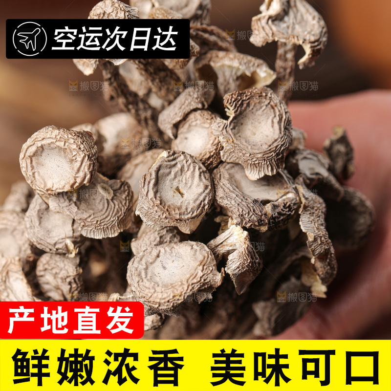 深底上的鹿茸菇