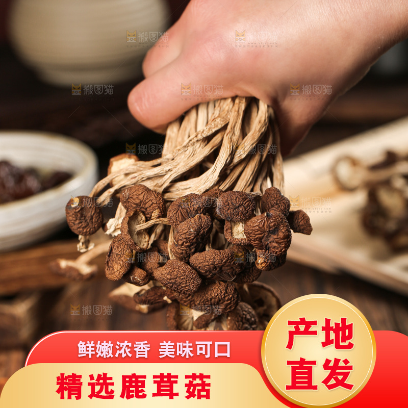 深底上的鹿茸菇