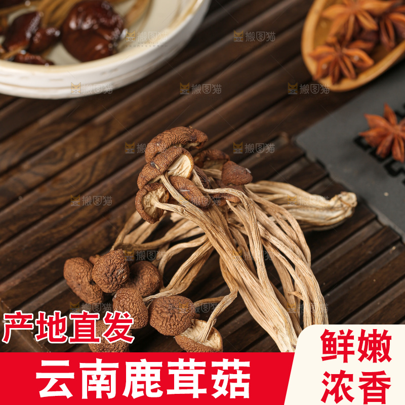 深底上的鹿茸菇