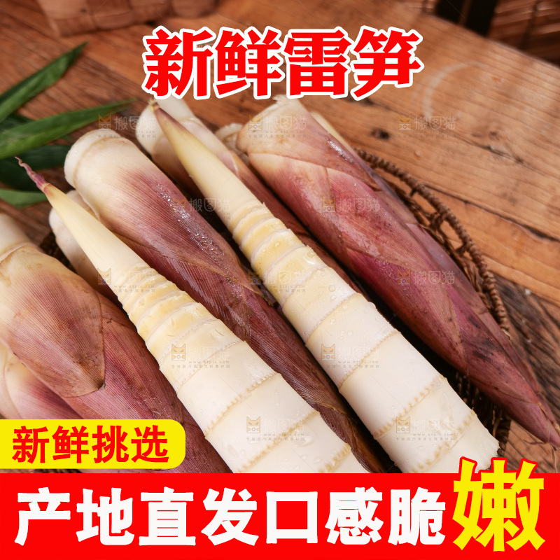 深底上的雷笋