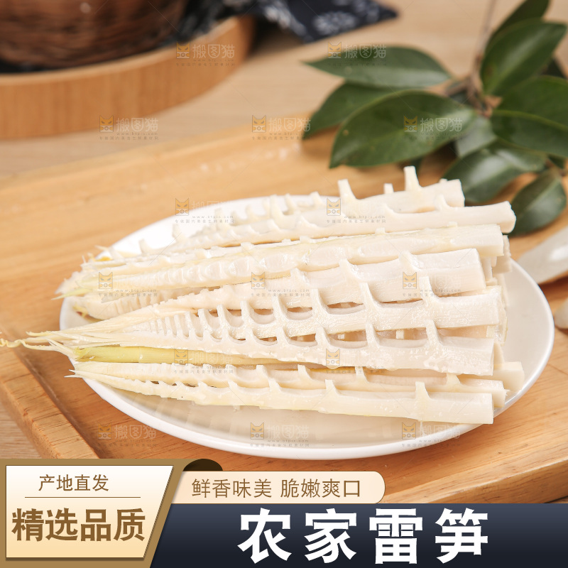 深底的雷竹笋