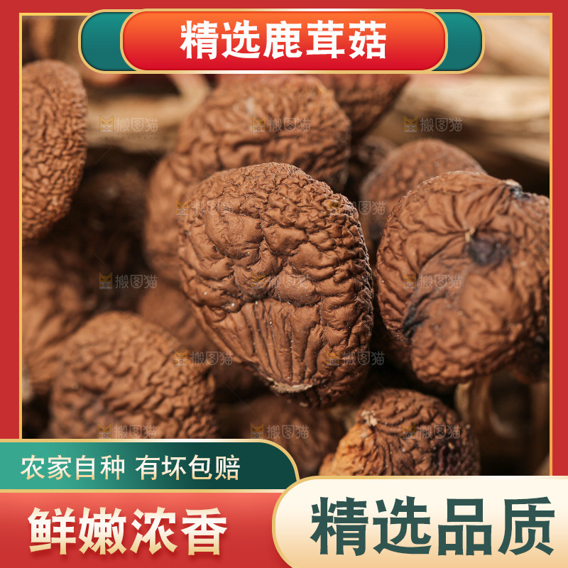 深底上的鹿茸菇