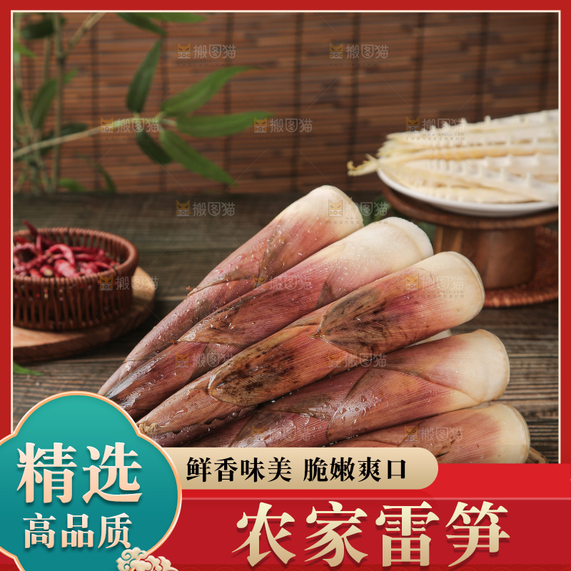 深底的雷竹笋
