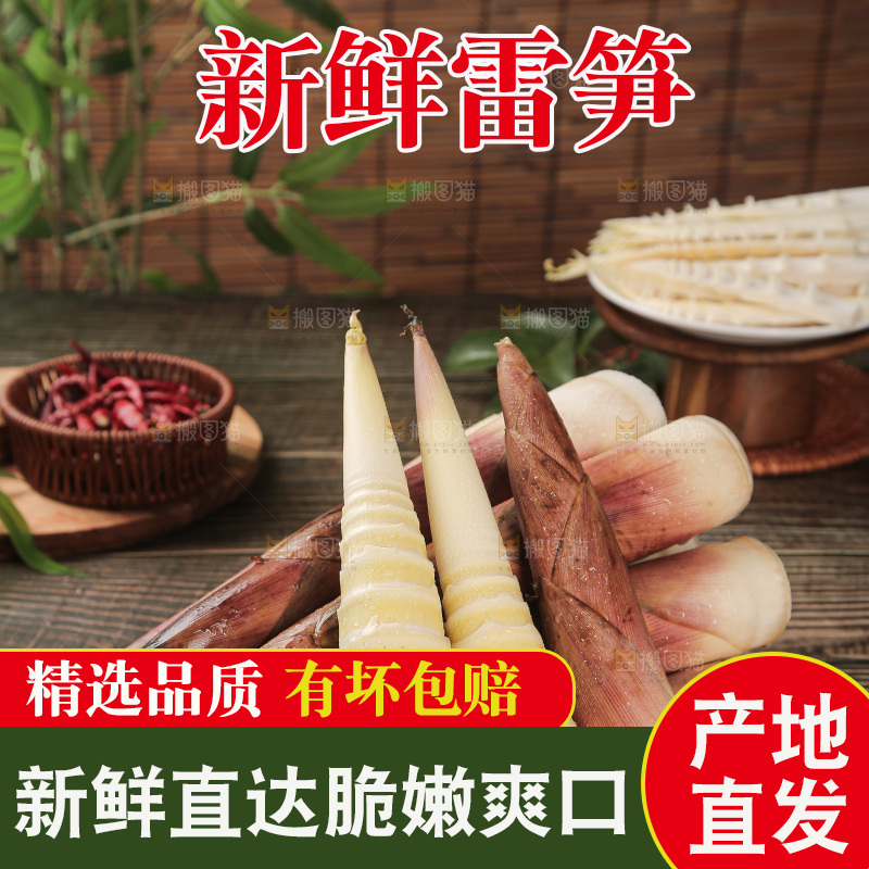 深底的雷竹笋