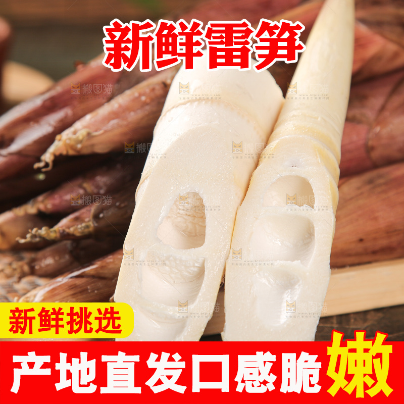 深底的雷竹笋