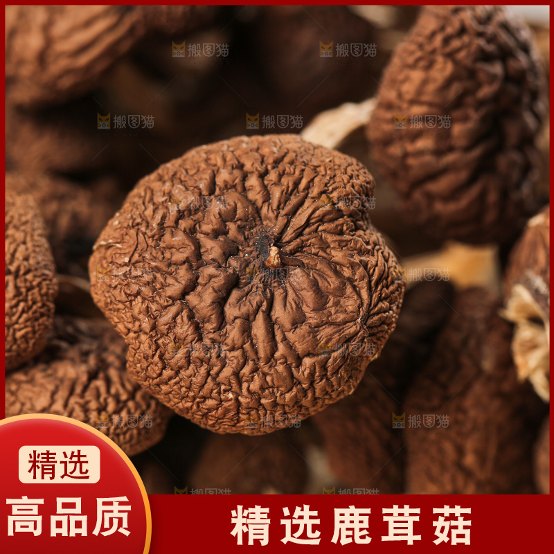 深底上的鹿茸菇