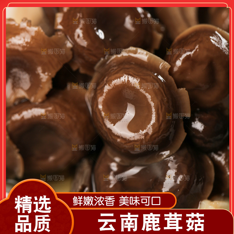 深底上的鹿茸菇