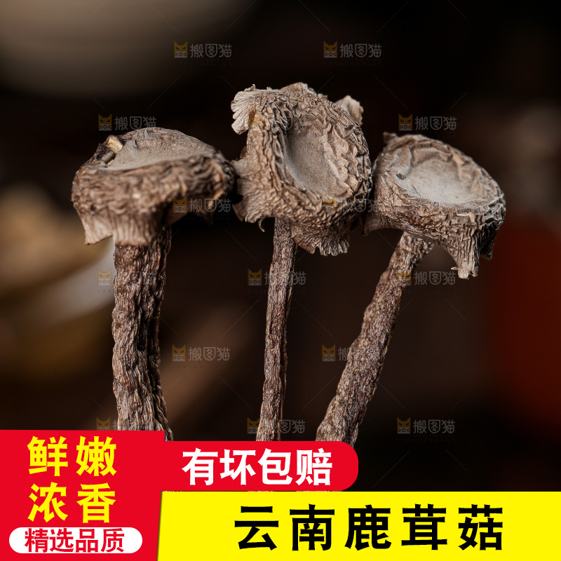 深底上的鹿茸菇