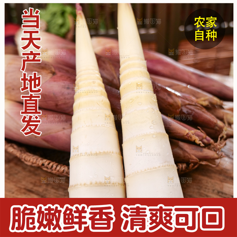 深底上的雷笋