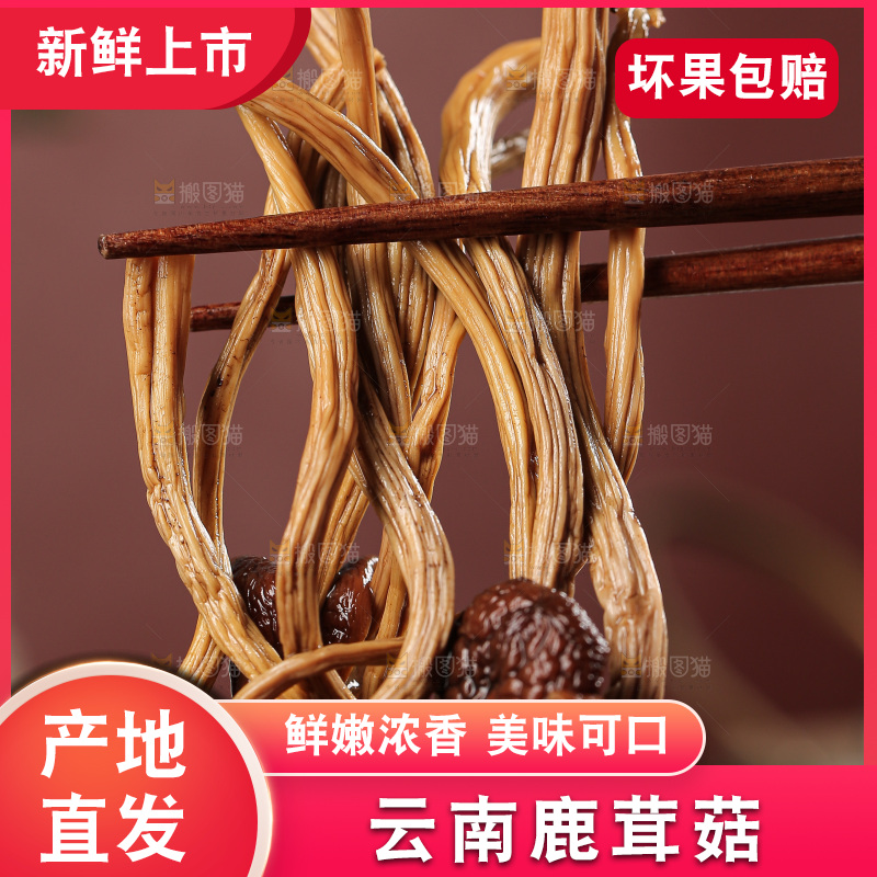 深底上的鹿茸菇