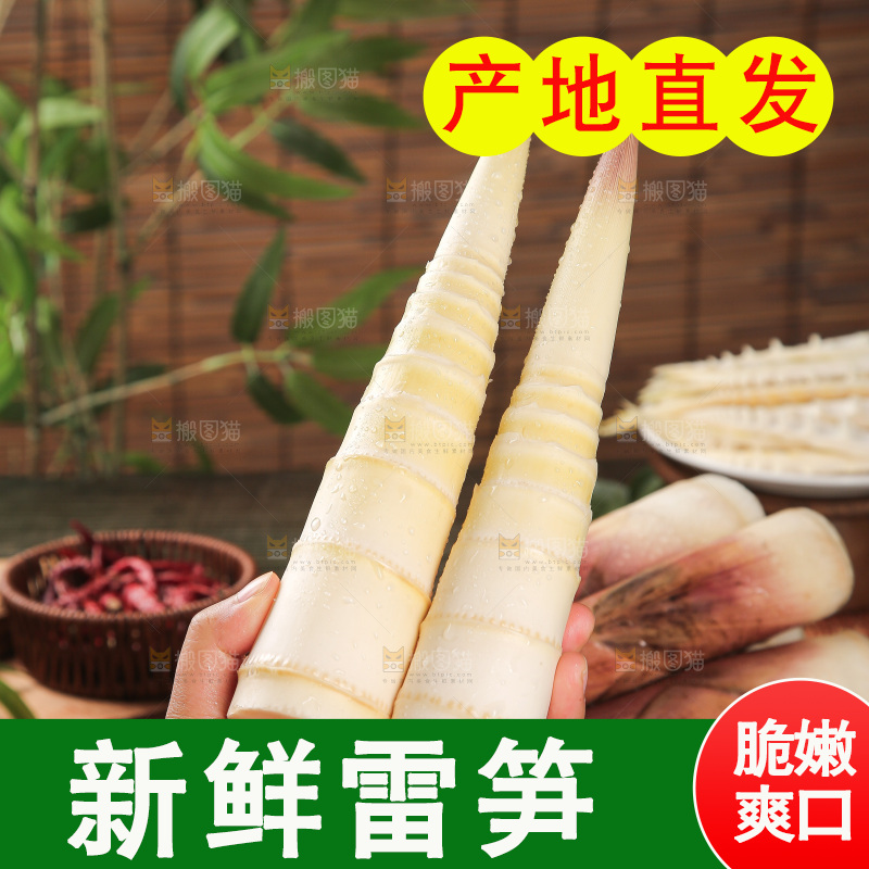 深底的雷竹笋