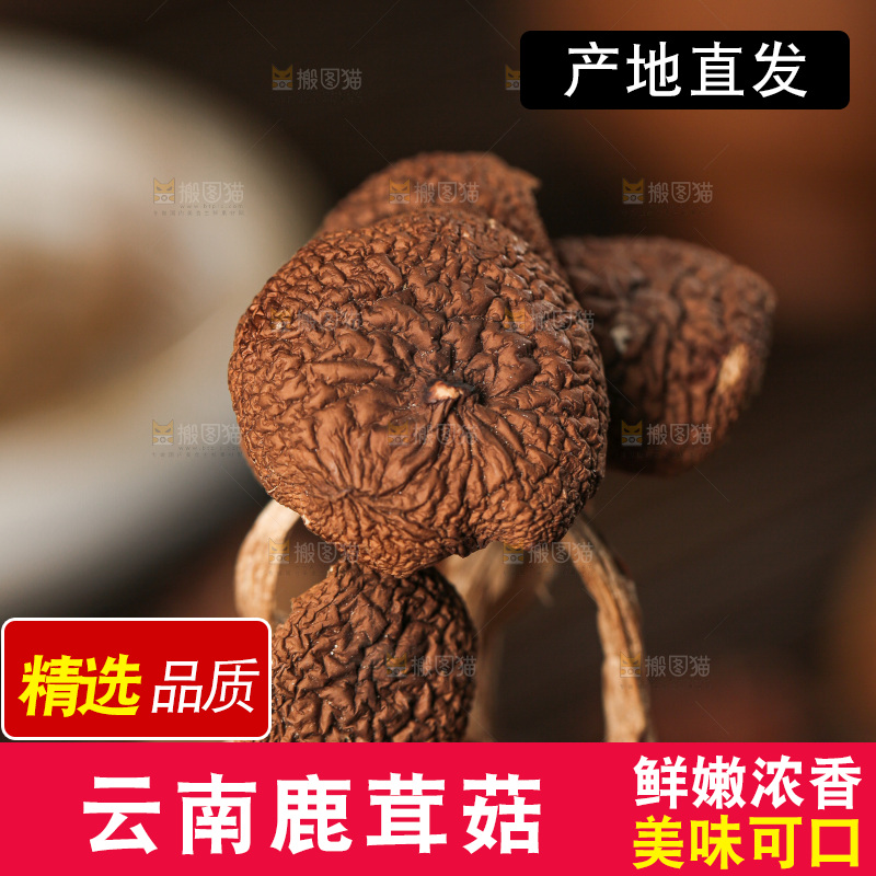 深底上的鹿茸菇