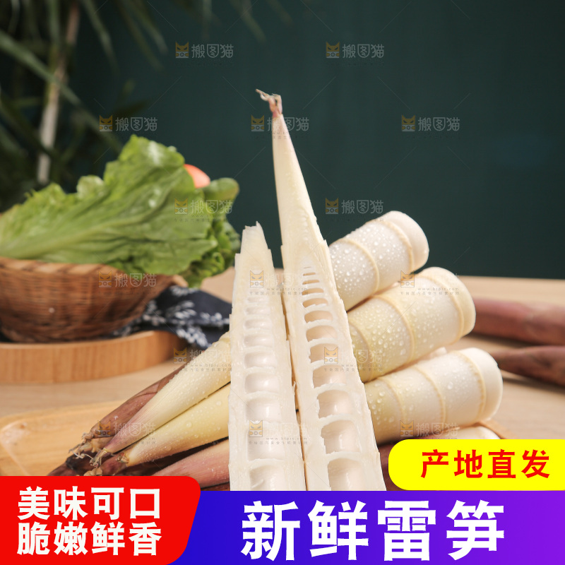 深底的雷竹笋