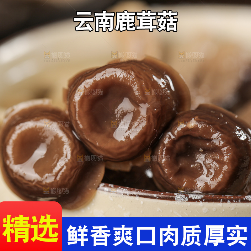 深底上的鹿茸菇
