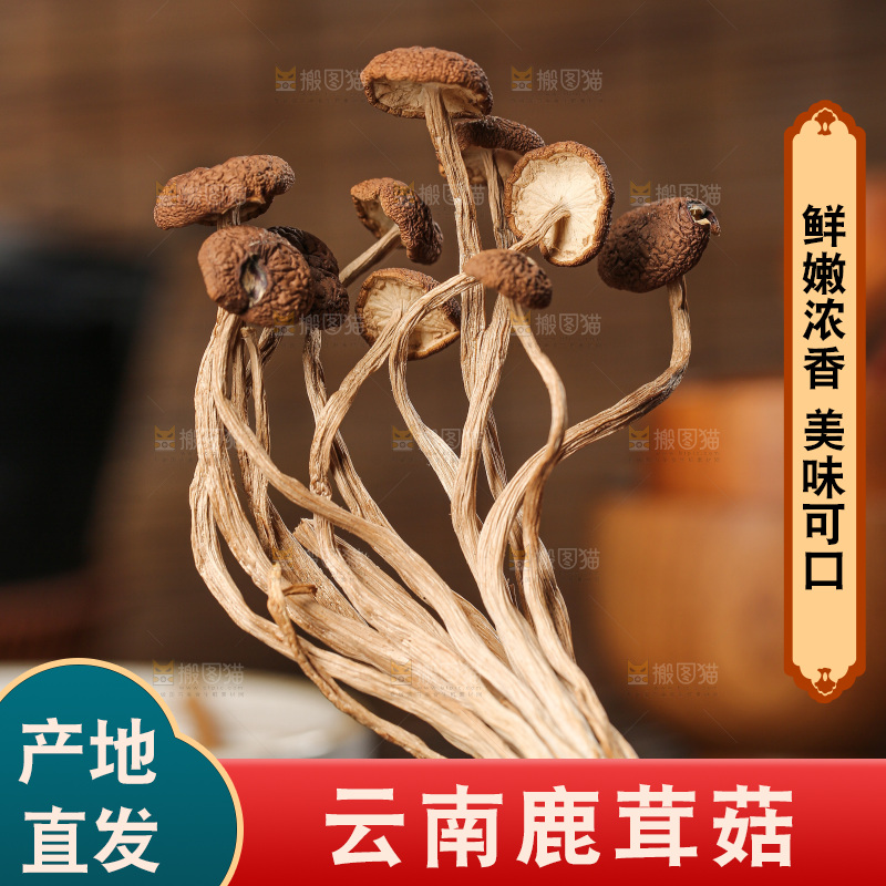 深底上的鹿茸菇