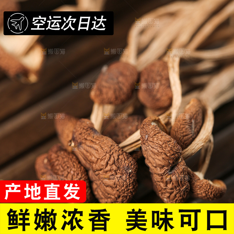 深底上的鹿茸菇