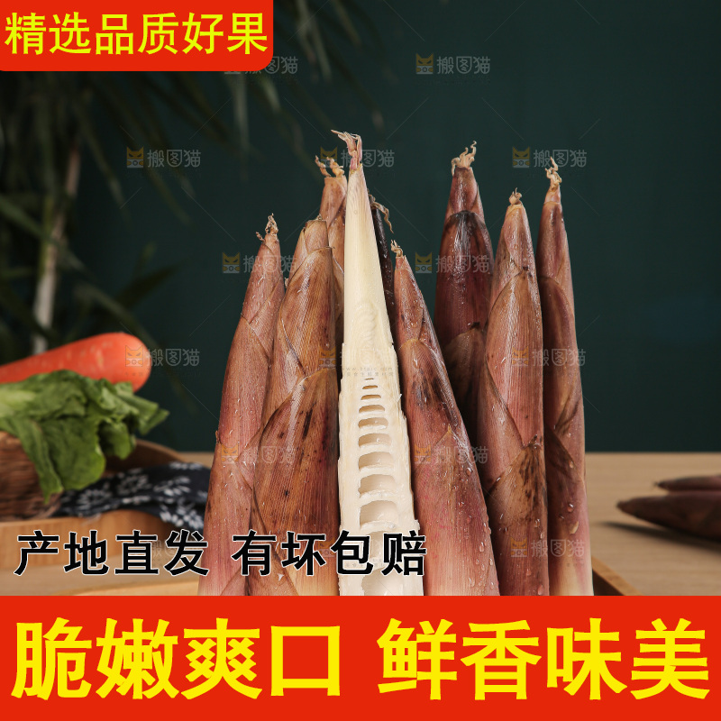深底的雷竹笋